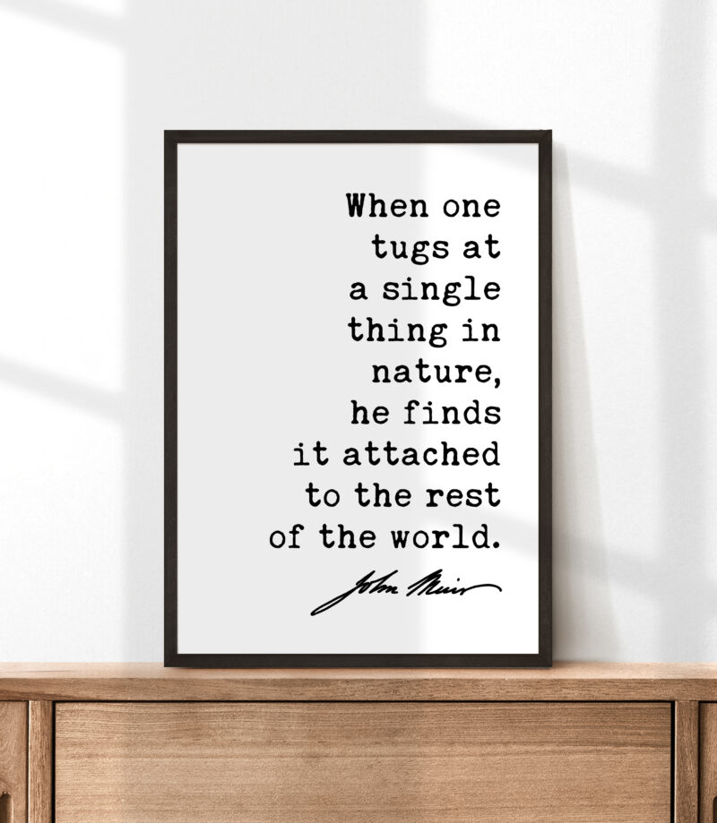 When one tugs at a single thing in nature, he finds it attached to the rest of the world. John Muir Quote Typography Art Print