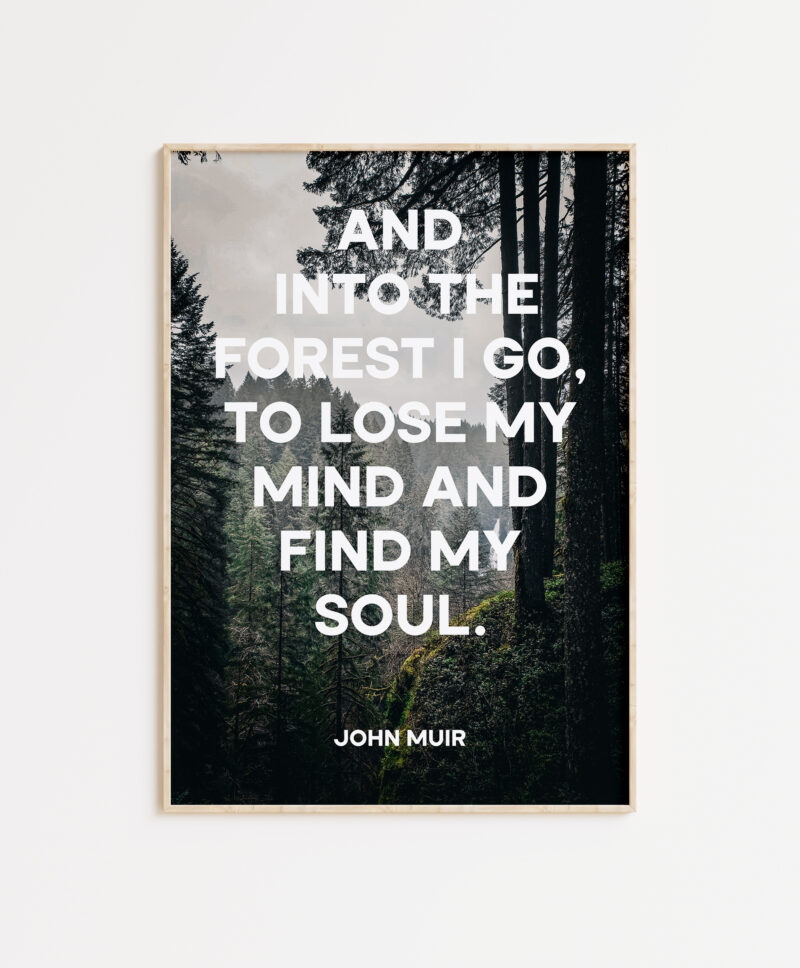 John Muir Quote - And into the forest I go, to lose my mind and find my soul. Typography Art Print - Featuring Evergreen Forest in Oregon