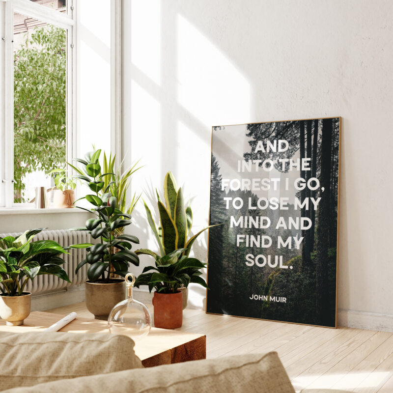John Muir Quote - And into the forest I go, to lose my mind and find my soul. Typography Art Print - Featuring Evergreen Forest in Oregon
