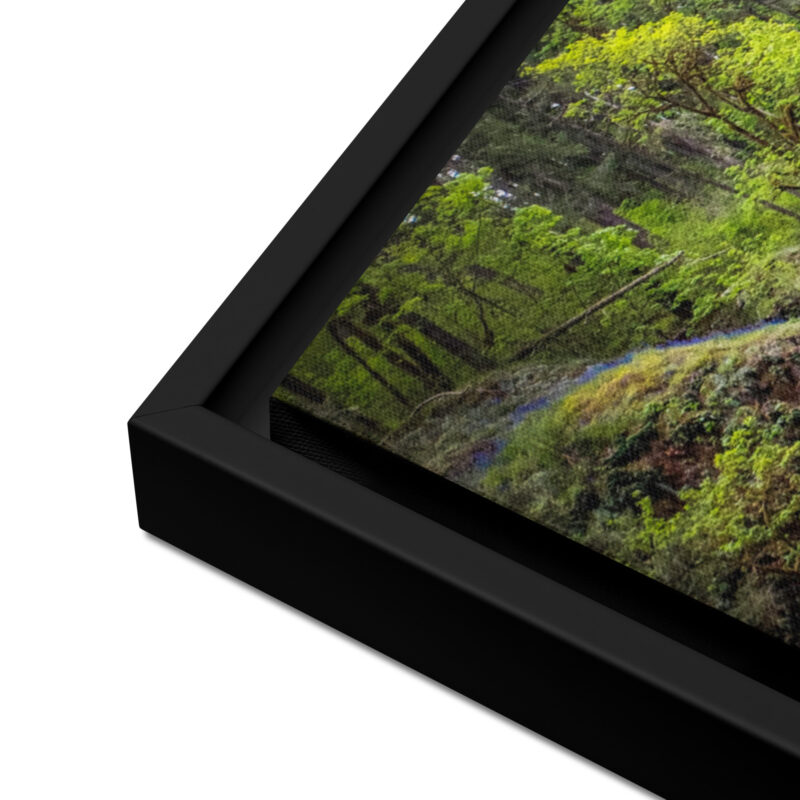 Lower South Falls at Silver Falls State Park, Oregon – Framed Canvas Art Print