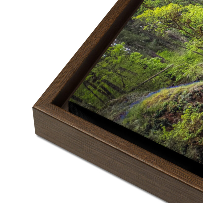 Lower South Falls at Silver Falls State Park, Oregon – Framed Canvas Art Print
