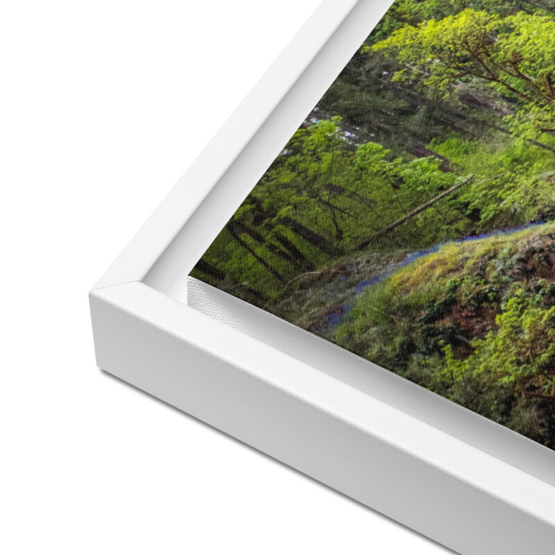 Lower South Falls at Silver Falls State Park, Oregon – Framed Canvas Art Print