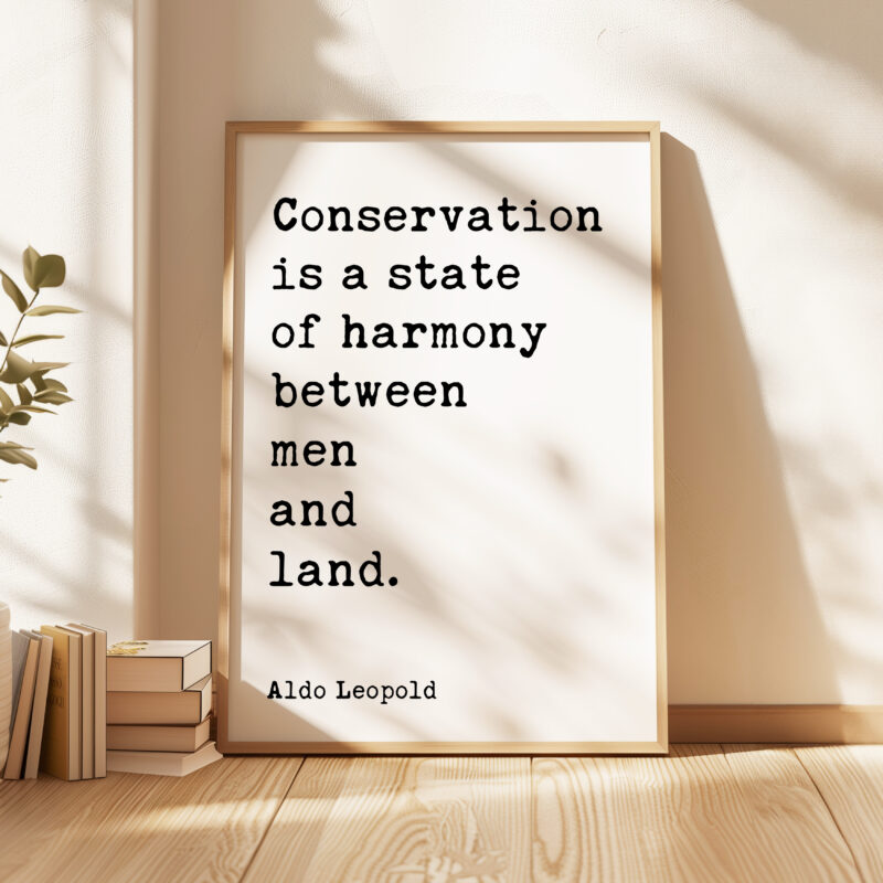 Conservation is a state of harmony between men and land. • Aldo Leopold Quote • Typography Art Print
