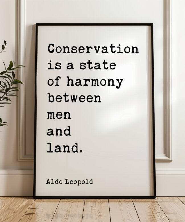 Conservation is a state of harmony between men and land. • Aldo Leopold Quote • Typography Art Print