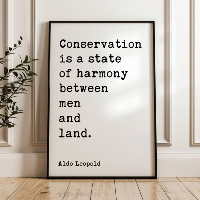 Conservation is a state of harmony between men and land. • Aldo Leopold Quote • Typography Art Print